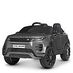 Сірий Автофарбування