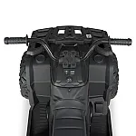 Детский квадроцикл Bambi с пультом управления M 4624EBLR-2(24V) Черный