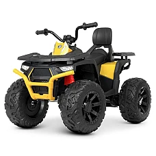 Дитячий квадроцикл Bambi з пультом керування M 4624EBLR-2-6(2