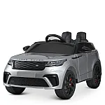 Сірий Автофарбування