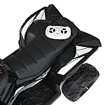 Детский квадроцикл Bambi M 4959EBLR-2 Черный