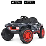 Позашляховик з пультом керування Audi Bambi M 4972EBLR-11 Сірий