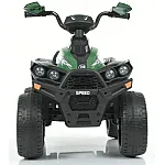 Дитячий квадроцикл Bambi M 5008EBL-5 Зелений