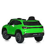 Детский электромобиль Mercedes Bambi M 5027EBLR-5 Зеленый