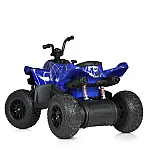 Детский квадроцикл Bambi M 5031EBLRS-4 Синий