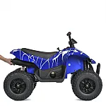 Детский квадроцикл Bambi M 5031EBLRS-4 Синий
