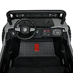 Баггі з пультом керування Bambi M 5052EBLR-11 Сірий