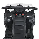 Детский квадроцикл Bambi M 5054EL-1 Белый