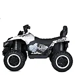 Дитячий квадроцикл з пультом керування Bambi M 5807EBLR-1 Білий