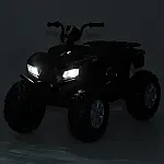 Детский квадроцикл Bambi M 6060EL-2(24V) Черный