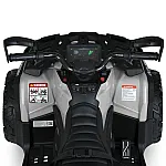 Дитячий квадроцикл Bambi M 6080EBLR-11 Сірий