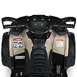 Детский квадроцикл Bambi M 6080EBLR-13 Бежевый