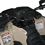 Детский квадроцикл Bambi M 6080EBLR-13 Бежевый