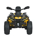 Дитячий квадроцикл Bambi M 6080EBLR-6 Жовтий