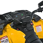 Дитячий квадроцикл Bambi M 6080EBLR-6 Жовтий