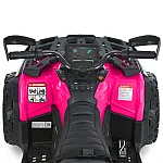 Дитячий квадроцикл Bambi M 6080EBLR-8-2 Фуксія