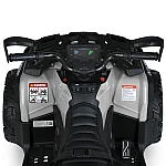 Дитячий квадроцикл Bambi M 6080EL-11(24V) Сірий