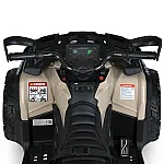 Детский квадроцикл Bambi M 6080EL-13(24V) Бежевый