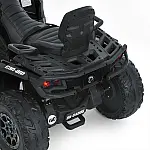 Дитячий квадроцикл Bambi M 6080EL-2(24V) Чорний