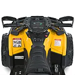Детский квадроцикл Bambi M 6080EL-6(24V) Желтый