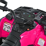 Детский квадроцикл Bambi M 6080EL-8-2(24V) Фуксия