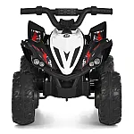 Детский квадроцикл Bambi M 6279EBR-2 Черный