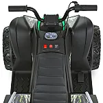 Дитячий квадроцикл Bambi M 6283EL-5 Зелений