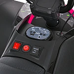 Детский квадроцикл Bambi M 6283EL-8 Розовый