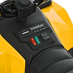 Дитячий квадроцикл Bambi M 6286EBLR-6 Жовтий