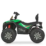 Детский квадроцикл Bambi M 6294EL-5 Зеленый