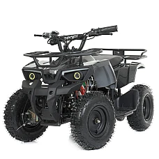 Дитячий квадроцикл Prof1 HB-ATV800AS-19 Карбон