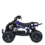 Дитячий квадроцикл Prof1 HB-EATV1000Q-4ST (MP3) V2 Синій