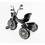Триколісний велосипед Best Trike BS-67800 Чорний