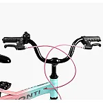 Детский двухколесный велосипед с магнивоевой рамой Corso Monti MT-16998 Розовый с голубым