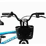 Детский двухколесный велосипед Corso Tayger 20 TG-29916 Голубой