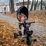 Детский трехколесный велосипед Lionelo Kori Grey Stone