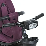 Детский трехколесный велосипед EL Camino ME 1193 Modena Purple