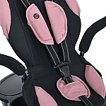Дитячий триколісний велосипед Turbo Trike MT 1001-1 Mauve Pink