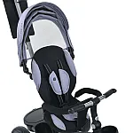 Дитячий триколісний велосипед Turbo Trike MT 1001-1 Smart Grey