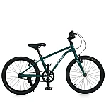 Детский двухколесный велосипед Prof1 Trike MB 20 LIGHTY RAIN FOREST