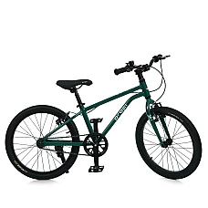 Дитячий двоколісний велосипед Prof1 Trike MB 20 LIGHTY RAIN F