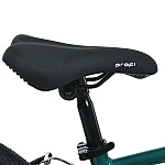 Детский двухколесный велосипед Prof1 Trike MB 20 LIGHTY RAIN FOREST