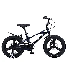 Детский двухколесный велосипед Prof1 Trike Velocity MB18VCB B