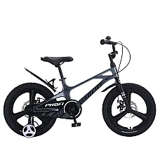 Детский двухколесный велосипед Prof1 Trike Velocity MB18VCB G