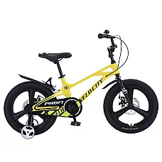 Детский двухколесный велосипед Prof1 Trike Velocity MB18VCB Y