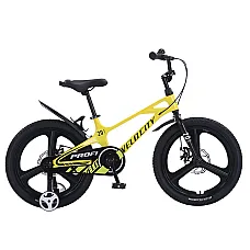 Детский двухколесный велосипед Prof1 Trike Velocity MB20VCB Y