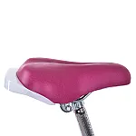 Детский двухколесный велосипед Prof1 Trike Wave MB 16051-1 Розовый