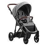 Прогулочная коляска Bebetto Rainbow 01 G Серая рама